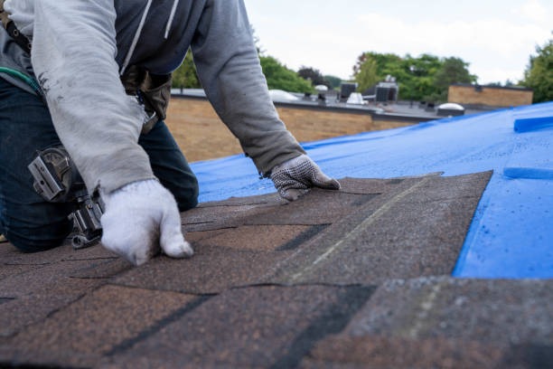 Best Roof Gutter Cleaning  in Menomonie, WI