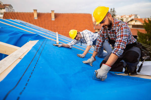 Best Sealant for Roof  in Menomonie, WI